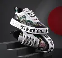 shoe 3.webp